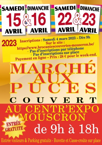 marche aux puces.jpg