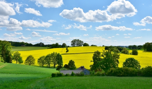 landscape-g3f7eed5e1_1920.jpg